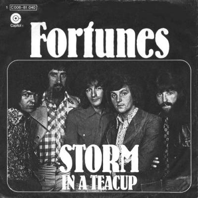 Storm In A Teacup