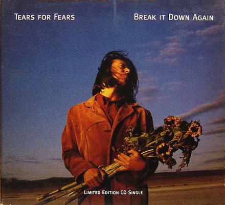 Break It Down Again