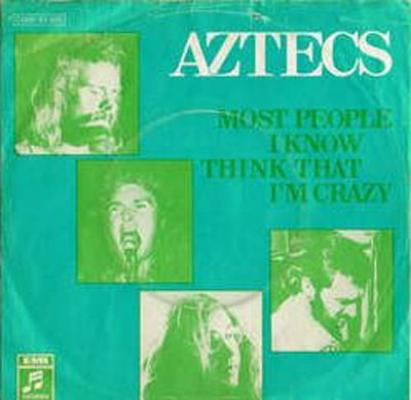 Most People I Know Think That I'm Crazy (Album Version)