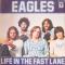 Life In The Fast Lane